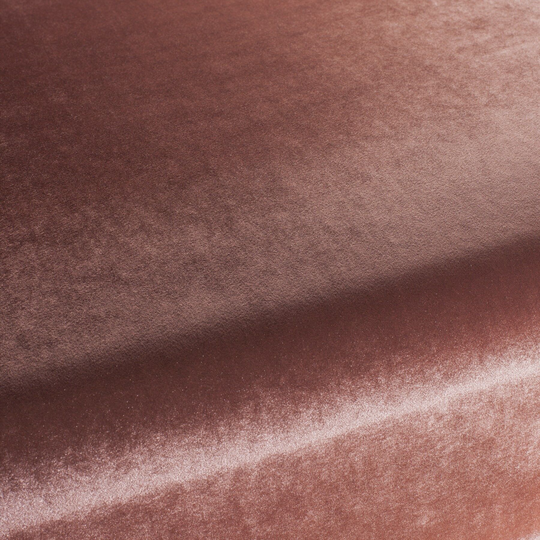 Ca1175 065 Palazzo Velvet Reloaded Exklusive Italienische Samt Moebelstoffe Von Carlucci Orange Ca1175 065 Palazzo Velvet Reloaded Exklusive Italienische Samt Moebelstoffe Von Carlucci Orange