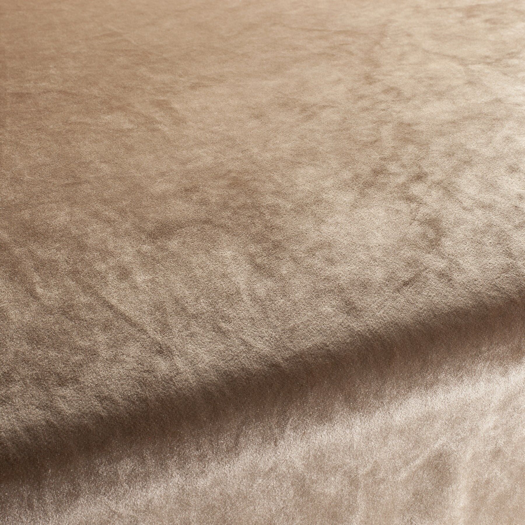 Ca1175 072 Palazzo Velvet Reloaded Exklusive Italienische Samt Moebelstoffe Von Carlucci Beige Ca1175 072 Palazzo Velvet Reloaded Exklusive Italienische Samt Moebelstoffe Von Carlucci Beige