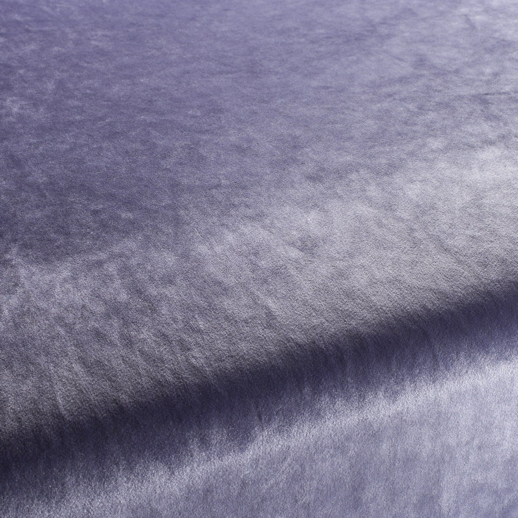 Ca1175 082 Palazzo Velvet Reloaded Exklusive Italienische Samt Moebelstoffe Von Carlucci Lila Ca1175 082 Palazzo Velvet Reloaded Exklusive Italienische Samt Moebelstoffe Von Carlucci Lila