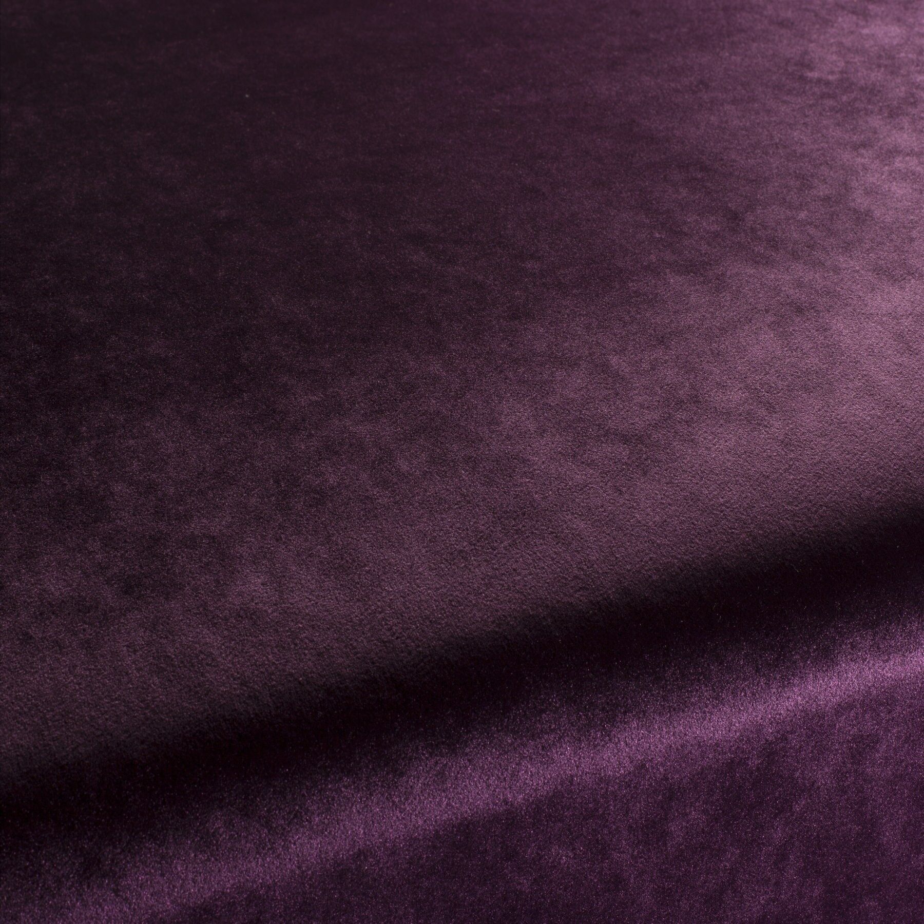 Ca1175 083 Palazzo Velvet Reloaded Exklusive Italienische Samt Moebelstoffe Von Carlucci Lila Ca1175 083 Palazzo Velvet Reloaded Exklusive Italienische Samt Moebelstoffe Von Carlucci Lila