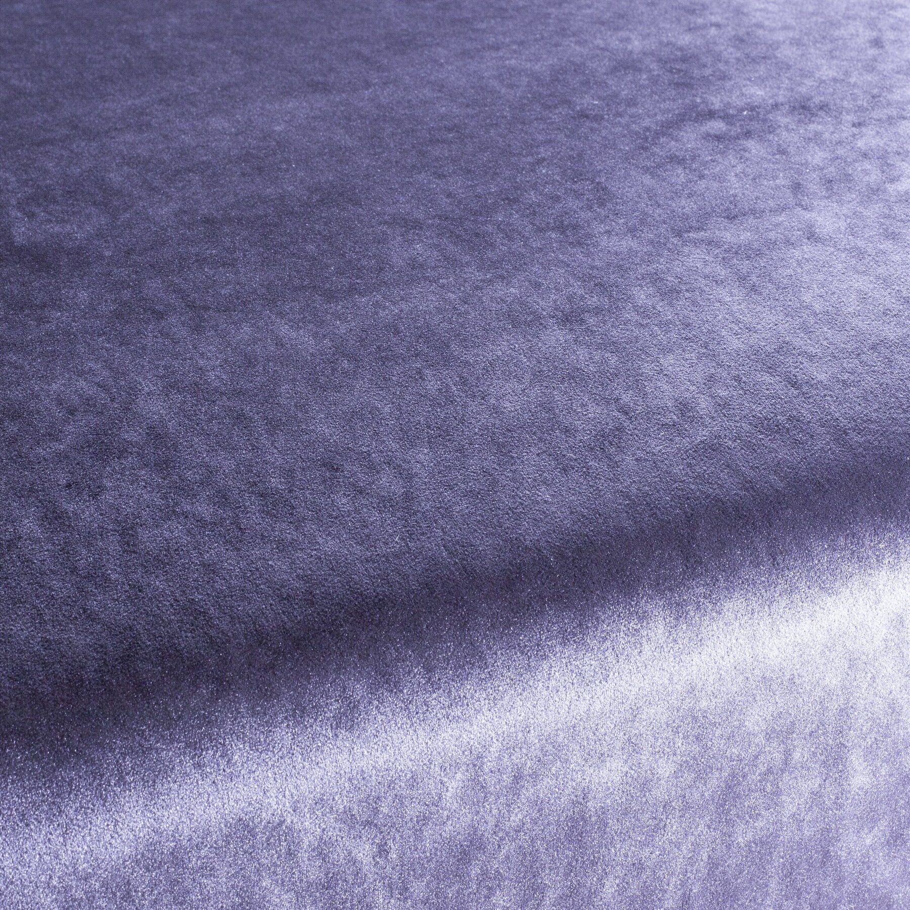 Ca1175 087 Palazzo Velvet Reloaded Exklusive Italienische Samt Moebelstoffe Von Carlucci Lila Ca1175 087 Palazzo Velvet Reloaded Exklusive Italienische Samt Moebelstoffe Von Carlucci Lila