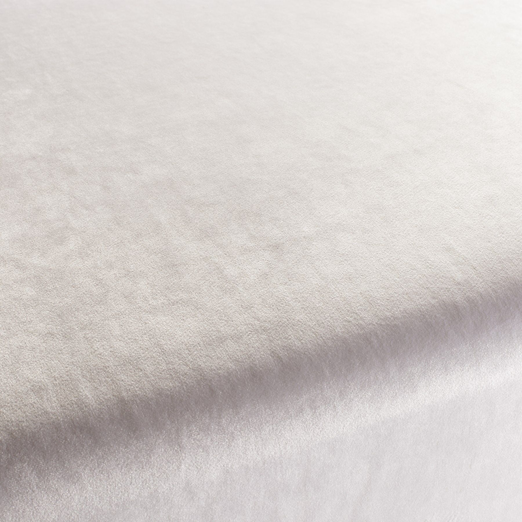 Ca1175 090 Palazzo Velvet Reloaded Exklusive Italienische Samt Moebelstoffe Von Carlucci Weiss