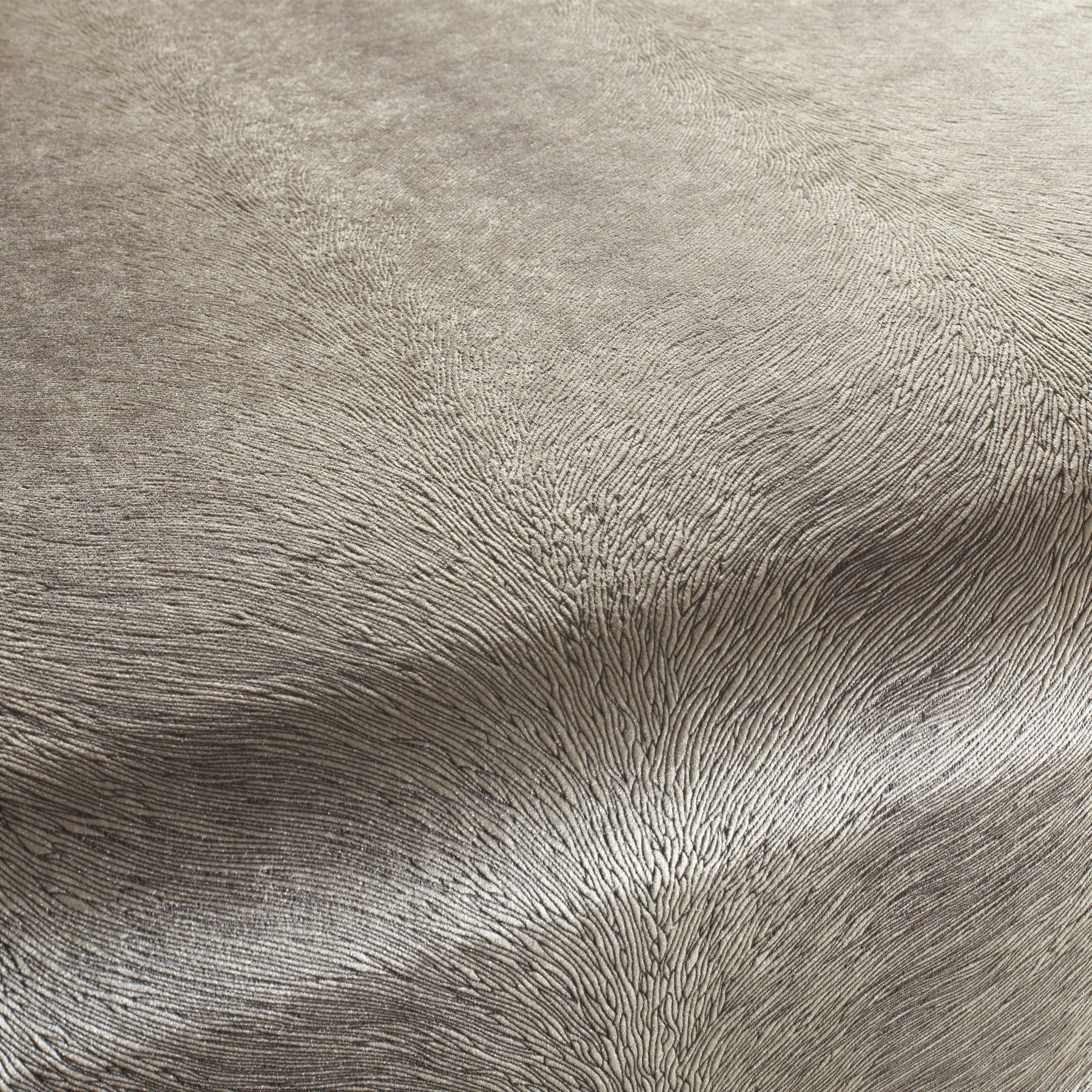 Ca1292 026 Pistoia Velvet Exklusive Italienische Samt Moebelstoffe Stoffe Braun Beige