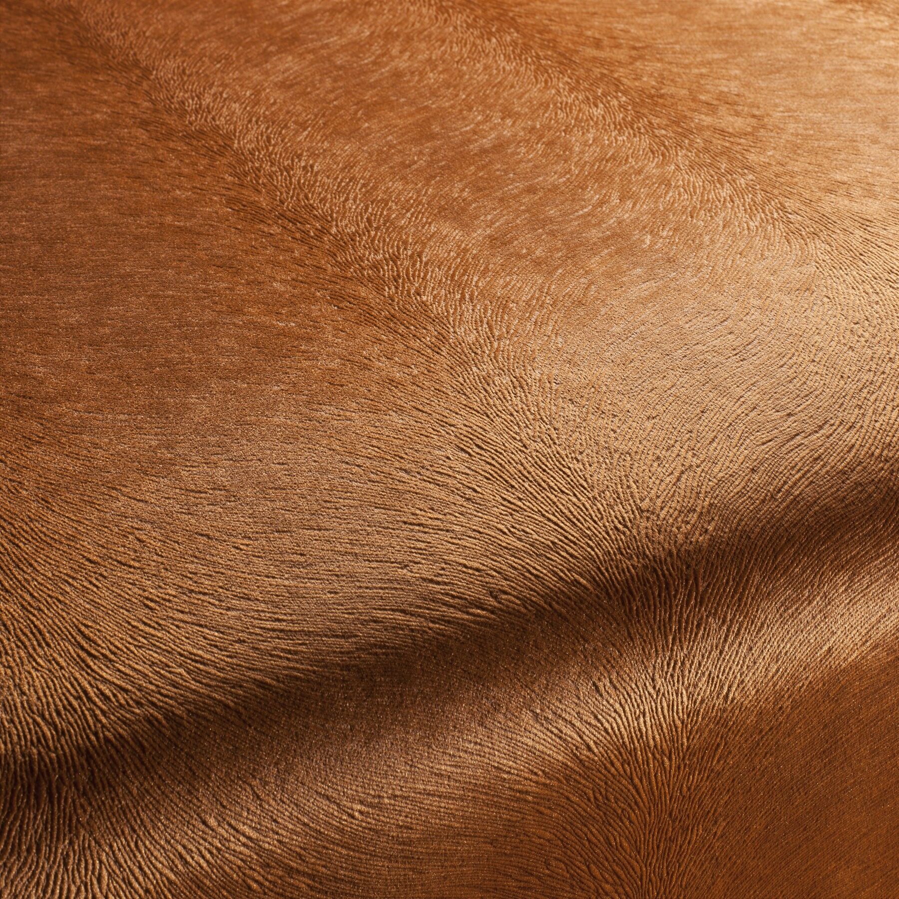 Ca1292 061 Pistoia Velvet Exklusive Italienische Samt Moebelstoffe Stoffe Orange Ca1292 061 Pistoia Velvet Exklusive Italienische Samt Moebelstoffe Stoffe Orange