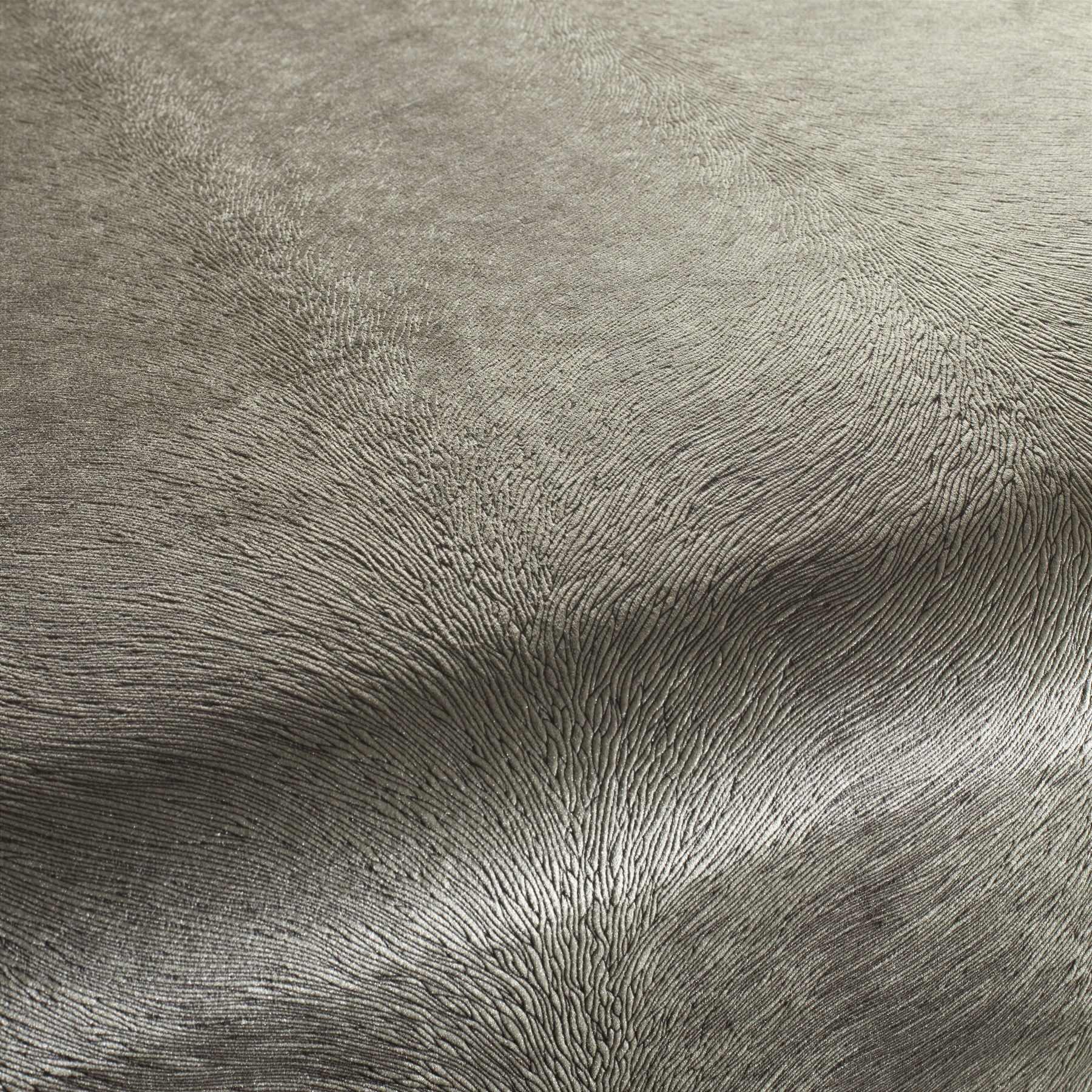 Ca1292 071 Pistoia Velvet Exklusive Italienische Samt Moebelstoffe Stoffe Braun Grau Ca1292 071 Pistoia Velvet Exklusive Italienische Samt Moebelstoffe Stoffe Braun Grau