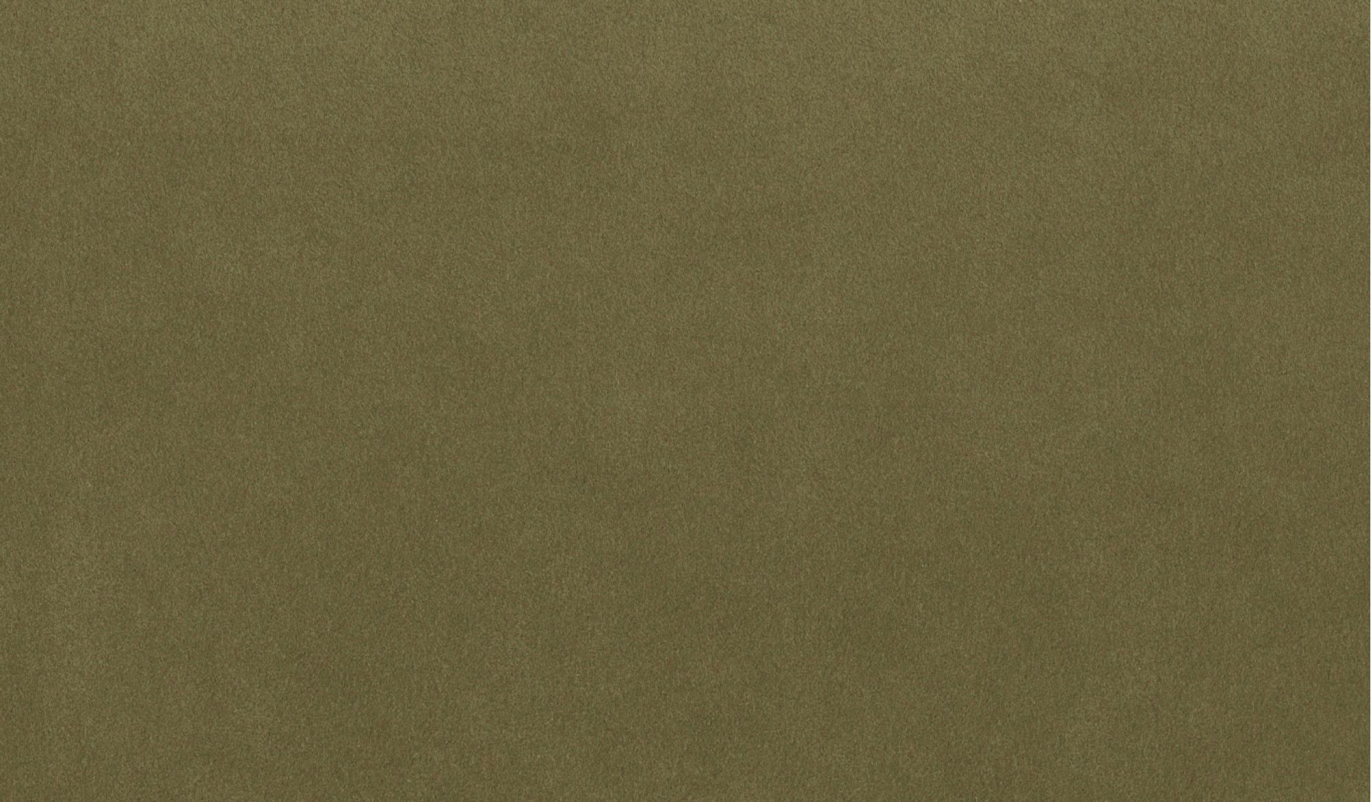 Alcantara Multilayer Lizard5700 Leder Stoff Meterware Gruen Alcantara Multilayer Lizard5700 Leder Stoff Meterware Gruen