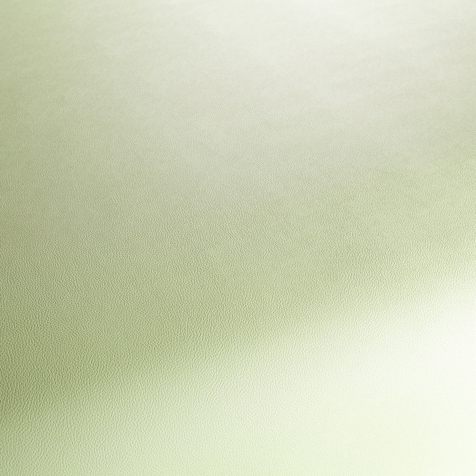 Ja1050 030 Gauchito Jab Anstoetz Kunstleder Meterware Gruen Ja1050 030 Gauchito Jab Anstoetz Kunstleder Meterware Gruen