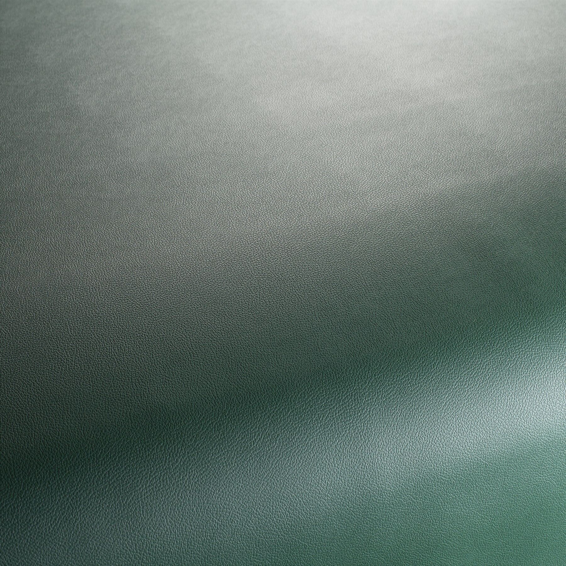 Ja1050 034 Gauchito Jab Anstoetz Kunstleder Meterware Gruen Ja1050 034 Gauchito Jab Anstoetz Kunstleder Meterware Gruen