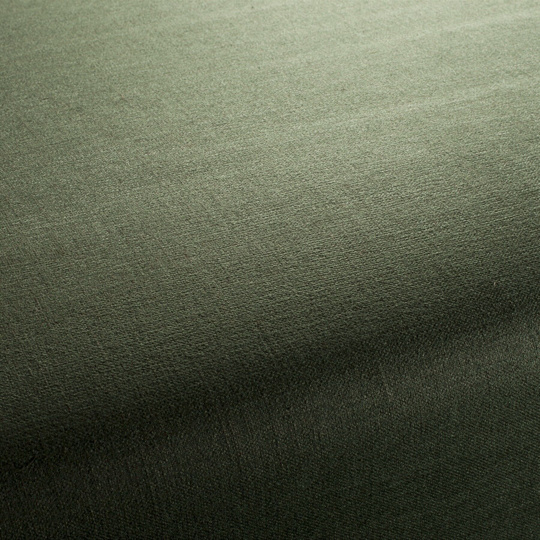 Ch2902 038 My Love Reboot Polstermoebel Bezugsstoff Grün