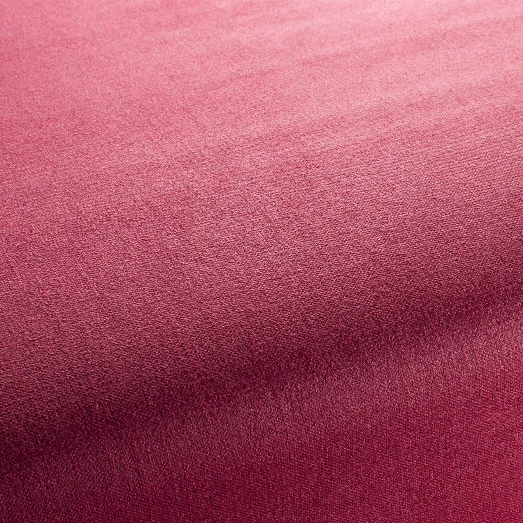 Ch2902 063 My Love Reboot Polstermoebel Bezugsstoff Rosa