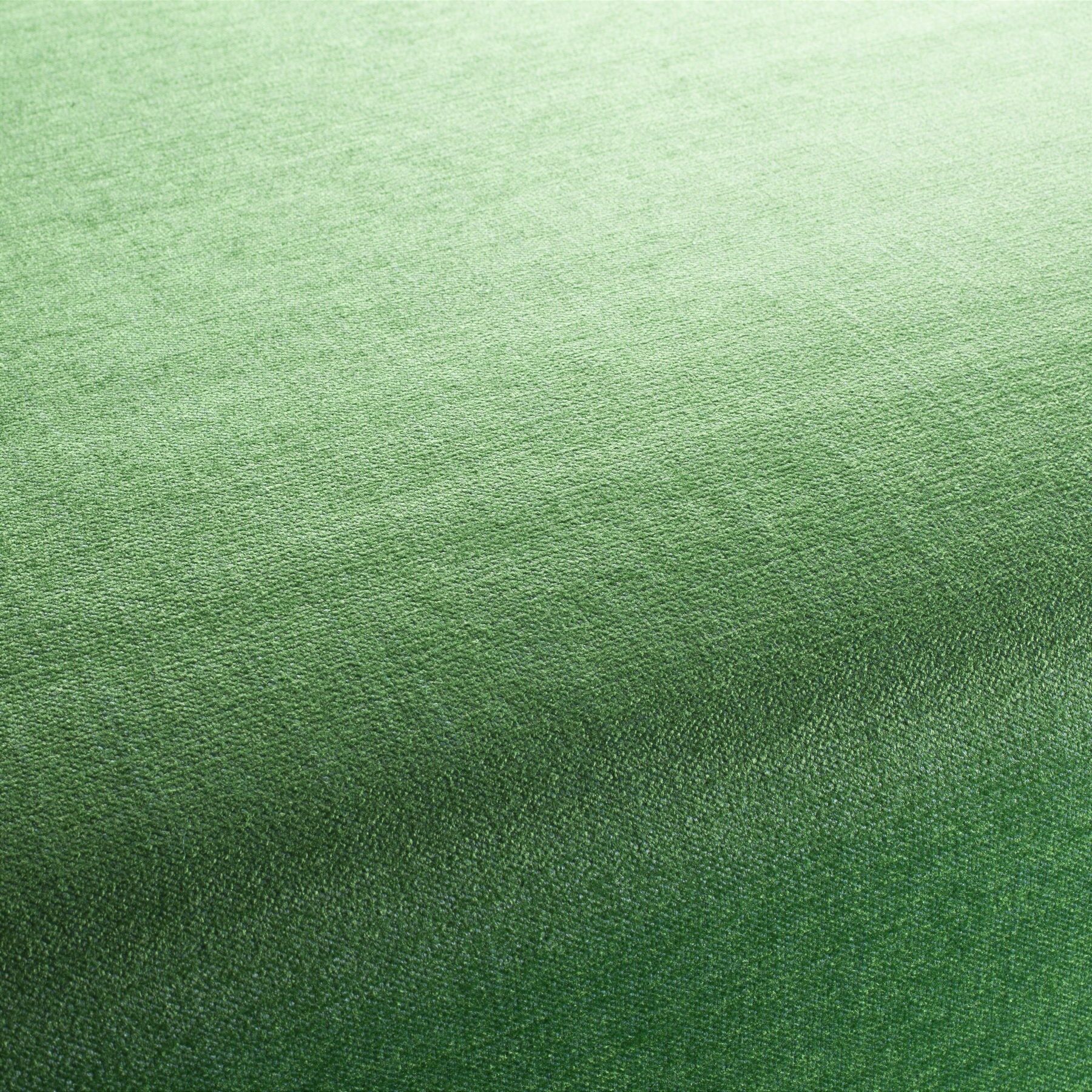 Ch2902 085 My Love Reboot Polstermoebel Bezugsstoff Grün