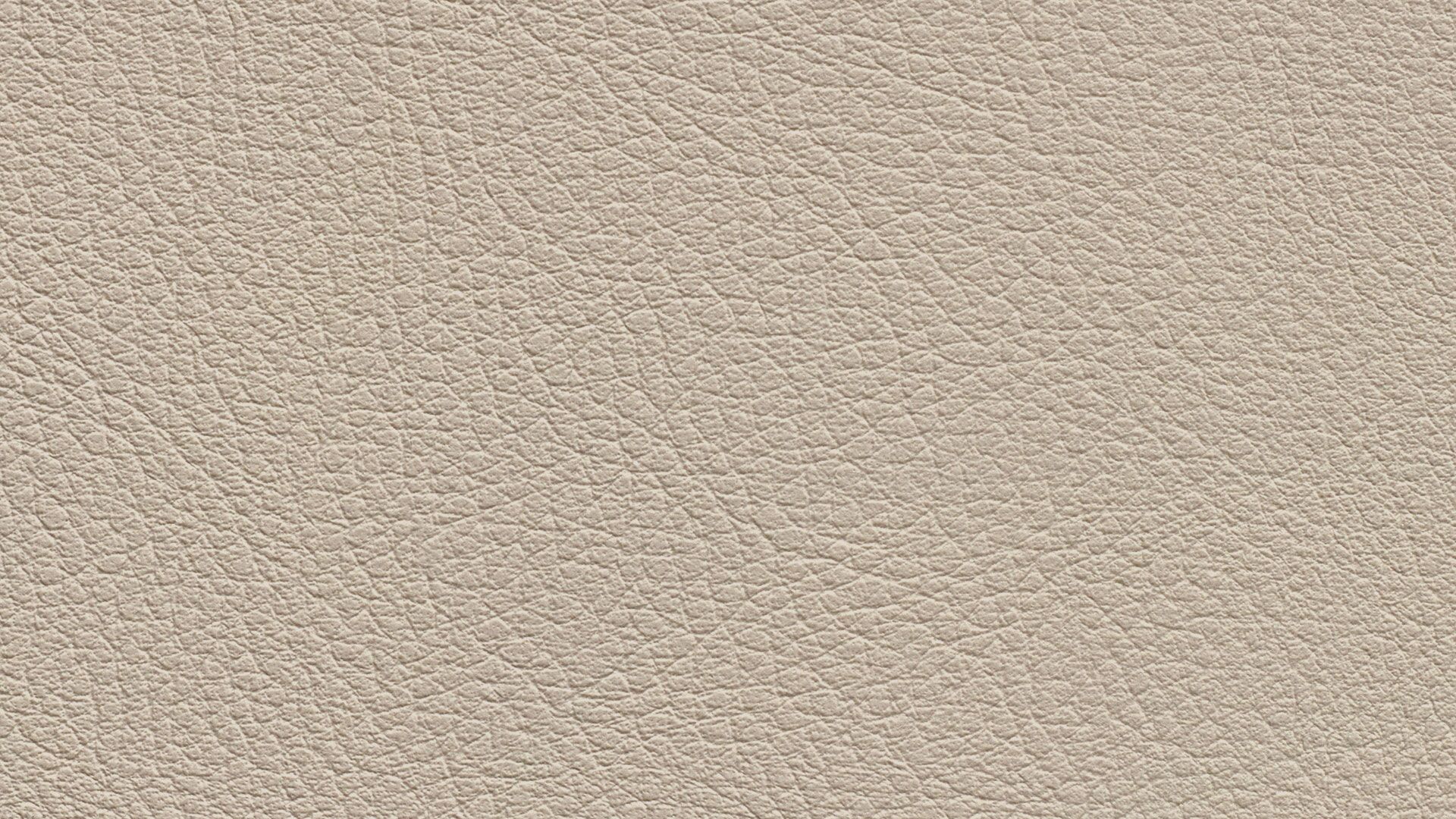 331561 Sk Chance Sonnhaus Kunstleder Meterware Beige