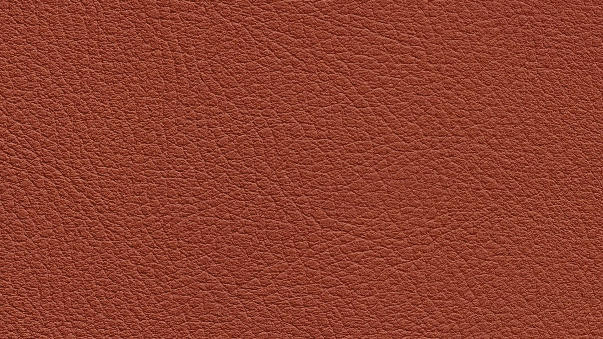 331614 Sk Chance Sonnhaus Kunstleder Meterware Braun Rot