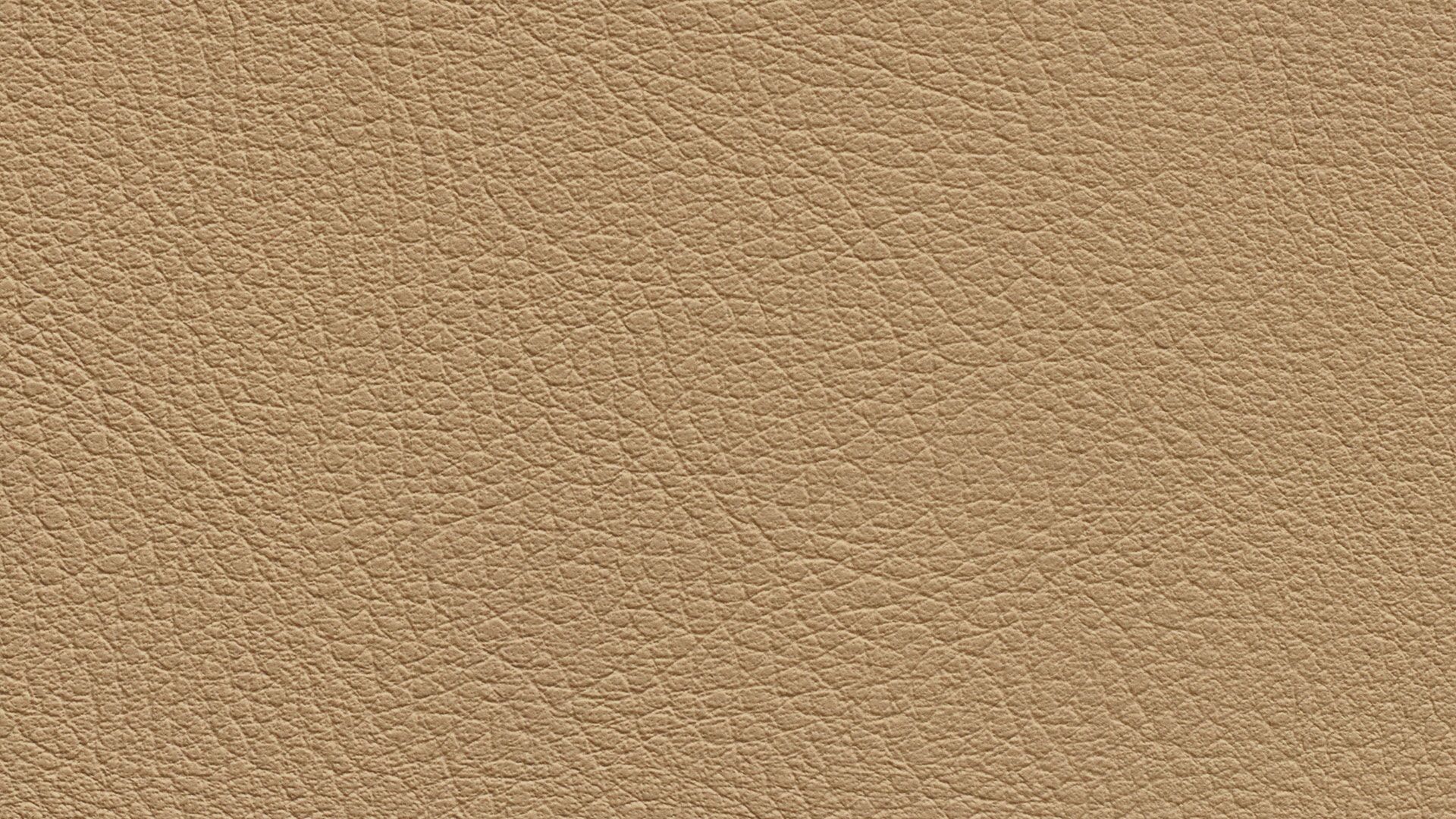 331628 Sk Chance Sonnhaus Kunstleder Meterware Braun 331628 Sk Chance Sonnhaus Kunstleder Meterware Braun