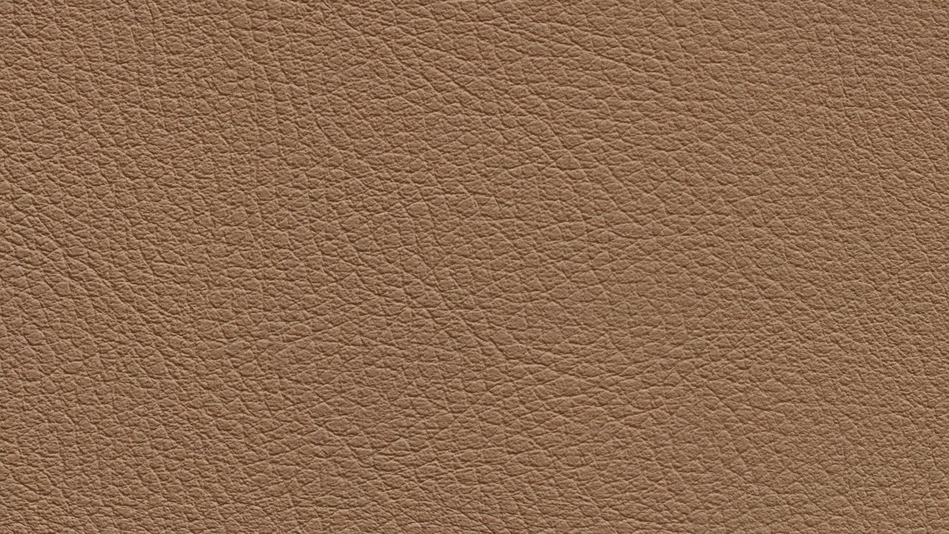 331633 Sk Chance Sonnhaus Kunstleder Meterware Braun