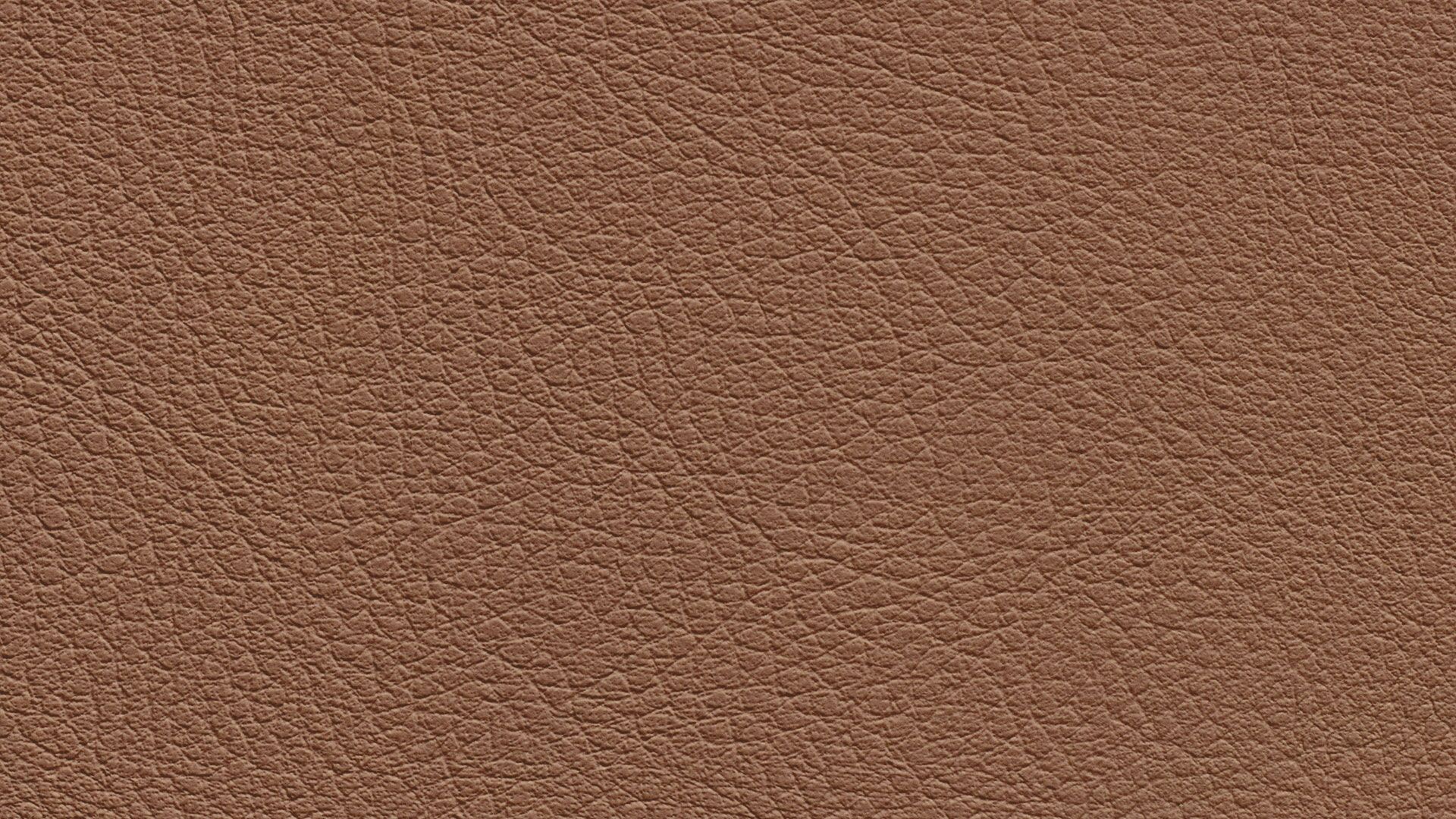 331634 Sk Chance Sonnhaus Kunstleder Meterware Braun 331634 Sk Chance Sonnhaus Kunstleder Meterware Braun