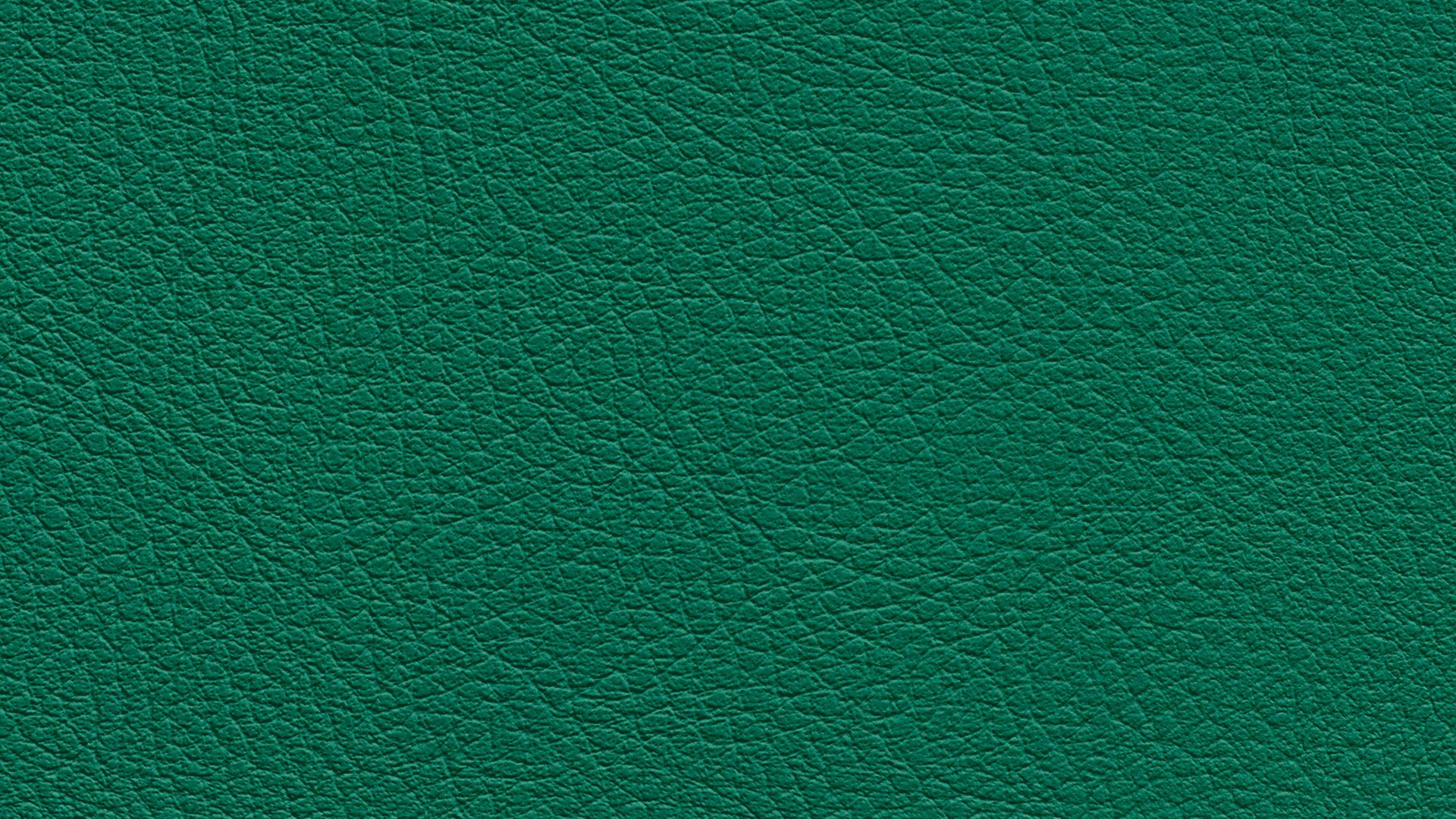 331652 Sk Chance Sonnhaus Kunstleder Meterware Gruen