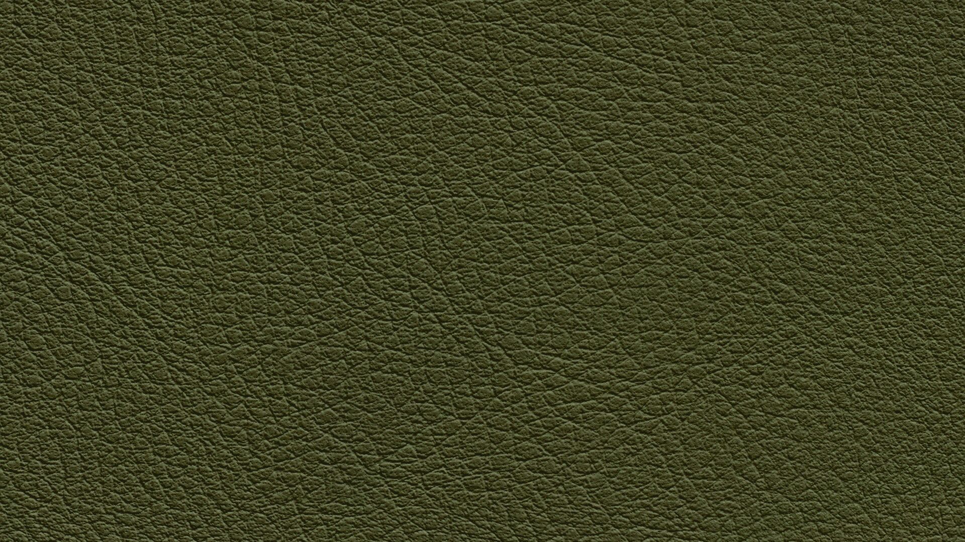 331659 Sk Chance Sonnhaus Kunstleder Meterware Gruen 331659 Sk Chance Sonnhaus Kunstleder Meterware Gruen