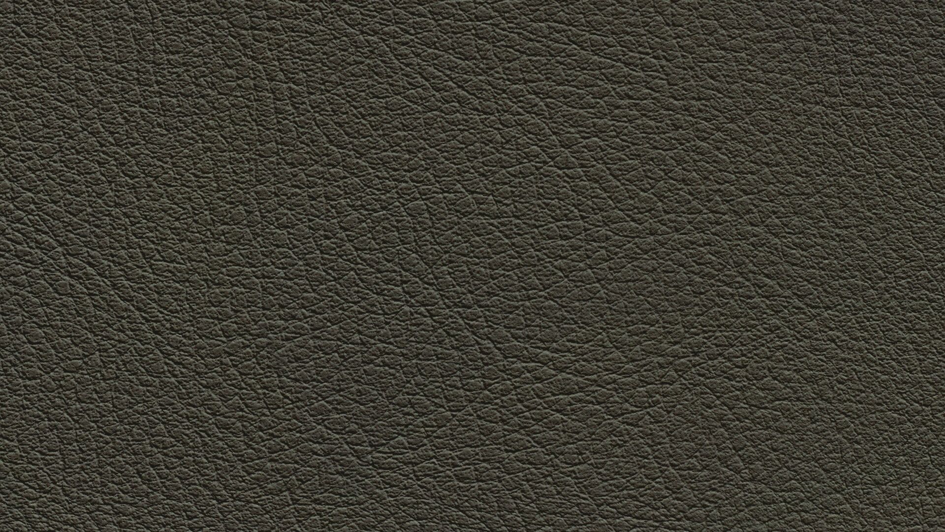 331661 Sk Chance Sonnhaus Kunstleder Meterware Grau Gruen 331661 Sk Chance Sonnhaus Kunstleder Meterware Grau Gruen