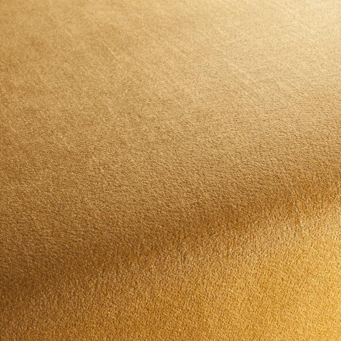 dario-chenille-polsterstoff-uni-polsterstoff-gelb-polsterstoff-gold-polsterstoff-weiss-creme-von-jab-anstoetz