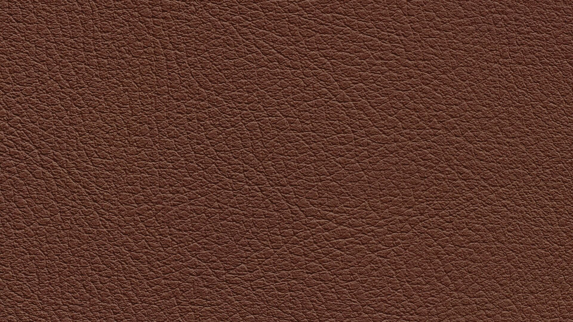 331499 Sk Chance Sonnhaus Kunstleder Meterware Braun