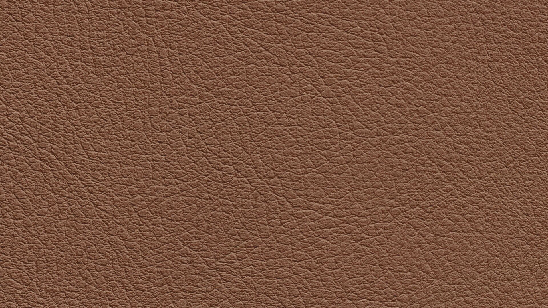 331500 Sk Chance Sonnhaus Kunstleder Meterware Braun 331500 Sk Chance Sonnhaus Kunstleder Meterware Braun