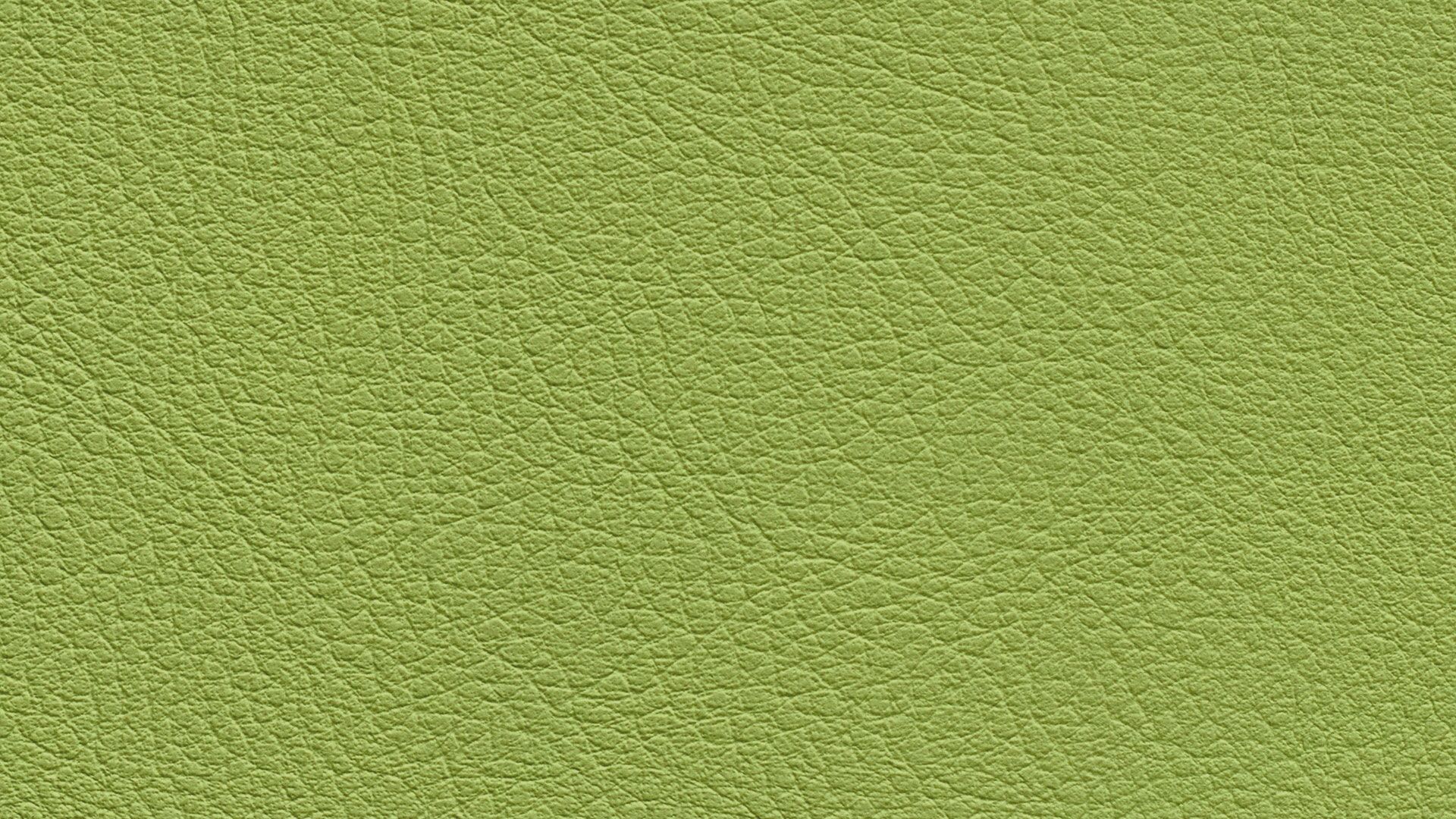 331643 Sk Chance Sonnhaus Kunstleder Meterware Gruen 331643 Sk Chance Sonnhaus Kunstleder Meterware Gruen