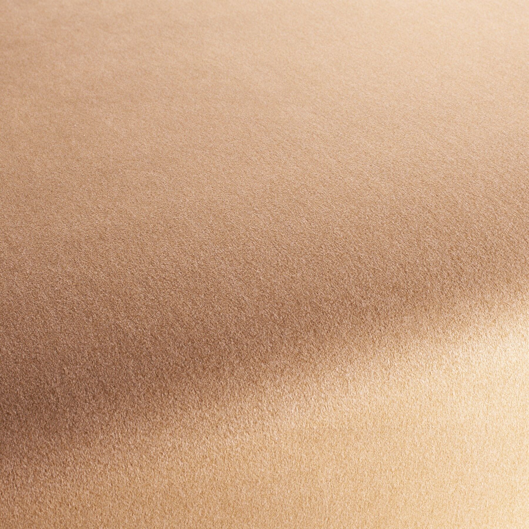 Ch3090 060 Shallow Chivasso Polsterstoff Samt Orange