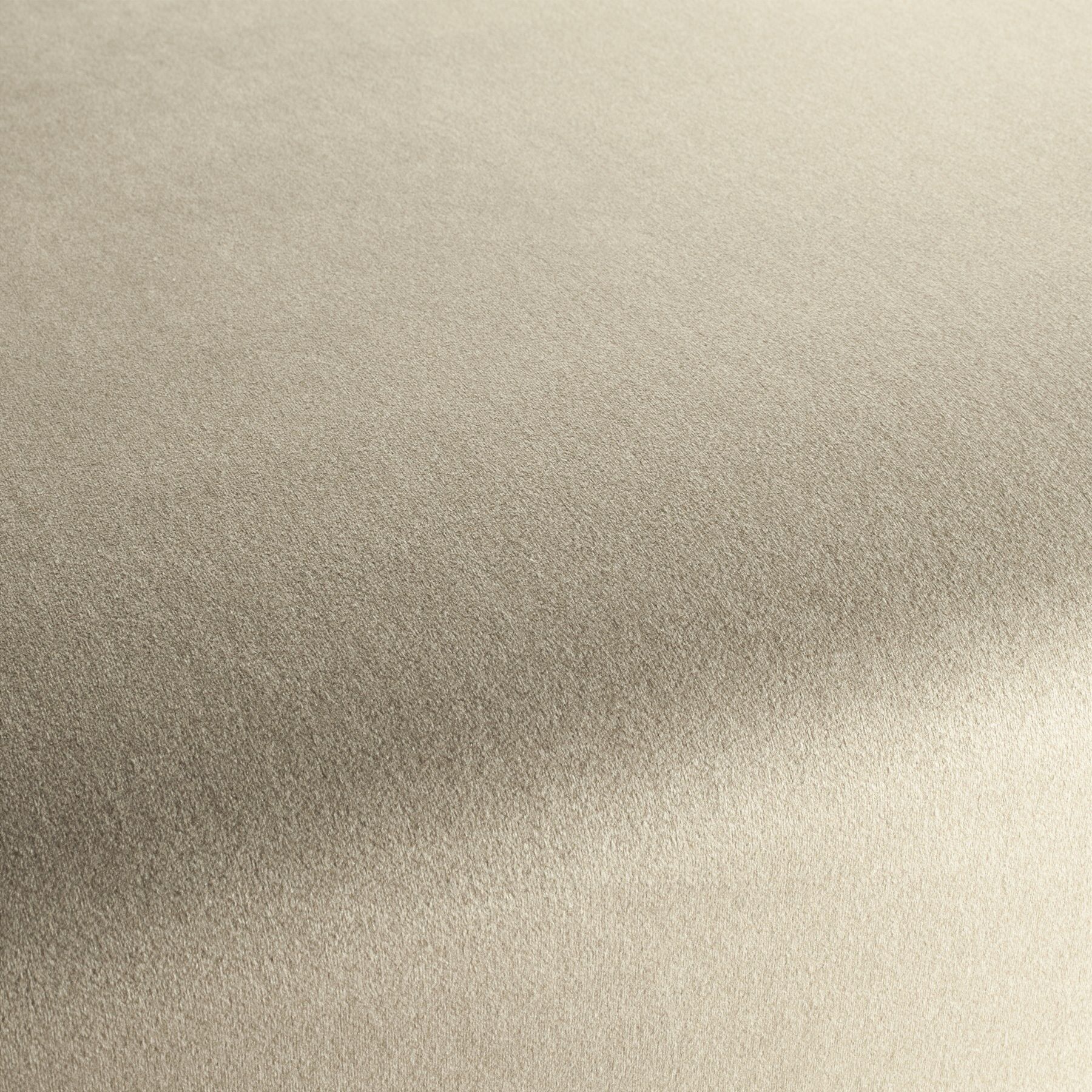 Ch3090 073 Shallow Chivasso Polsterstoff Samt Creme Beige