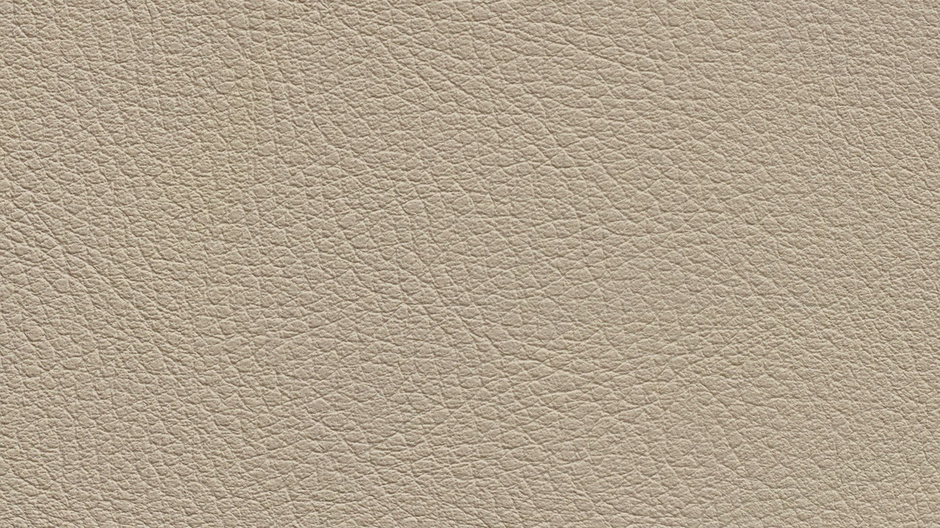 331569 Sk Chance Sonnhaus Kunstleder Meterware Creme Beige