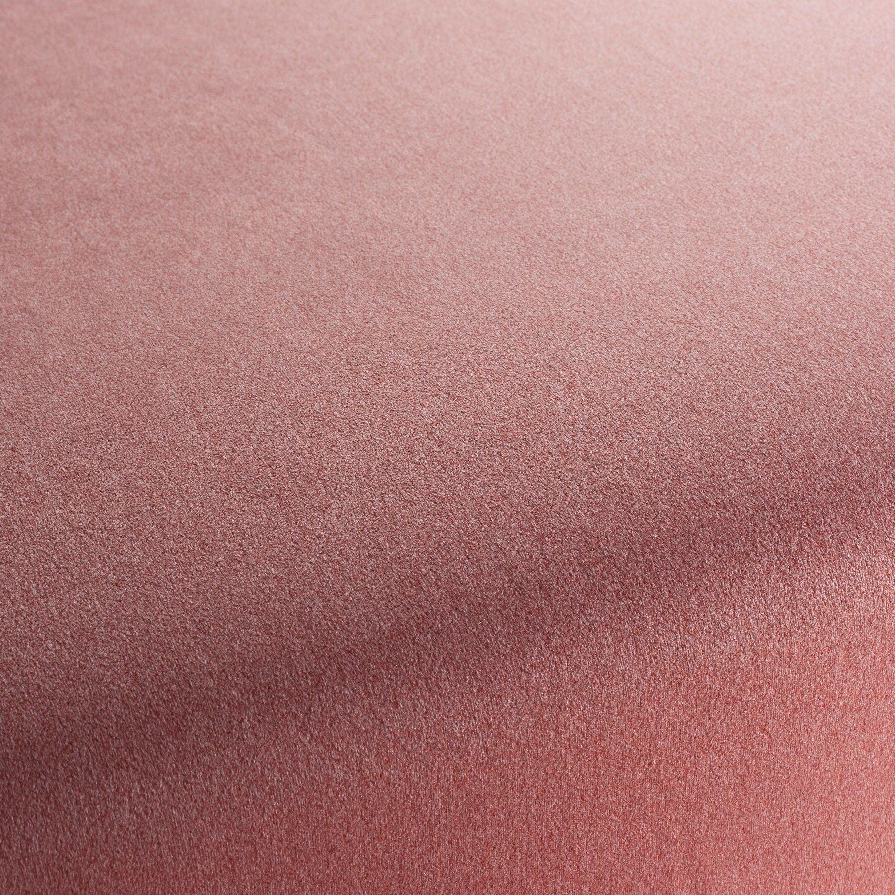 Ch3090 010 Shallow Chivasso Polsterstoff Samt Rot
