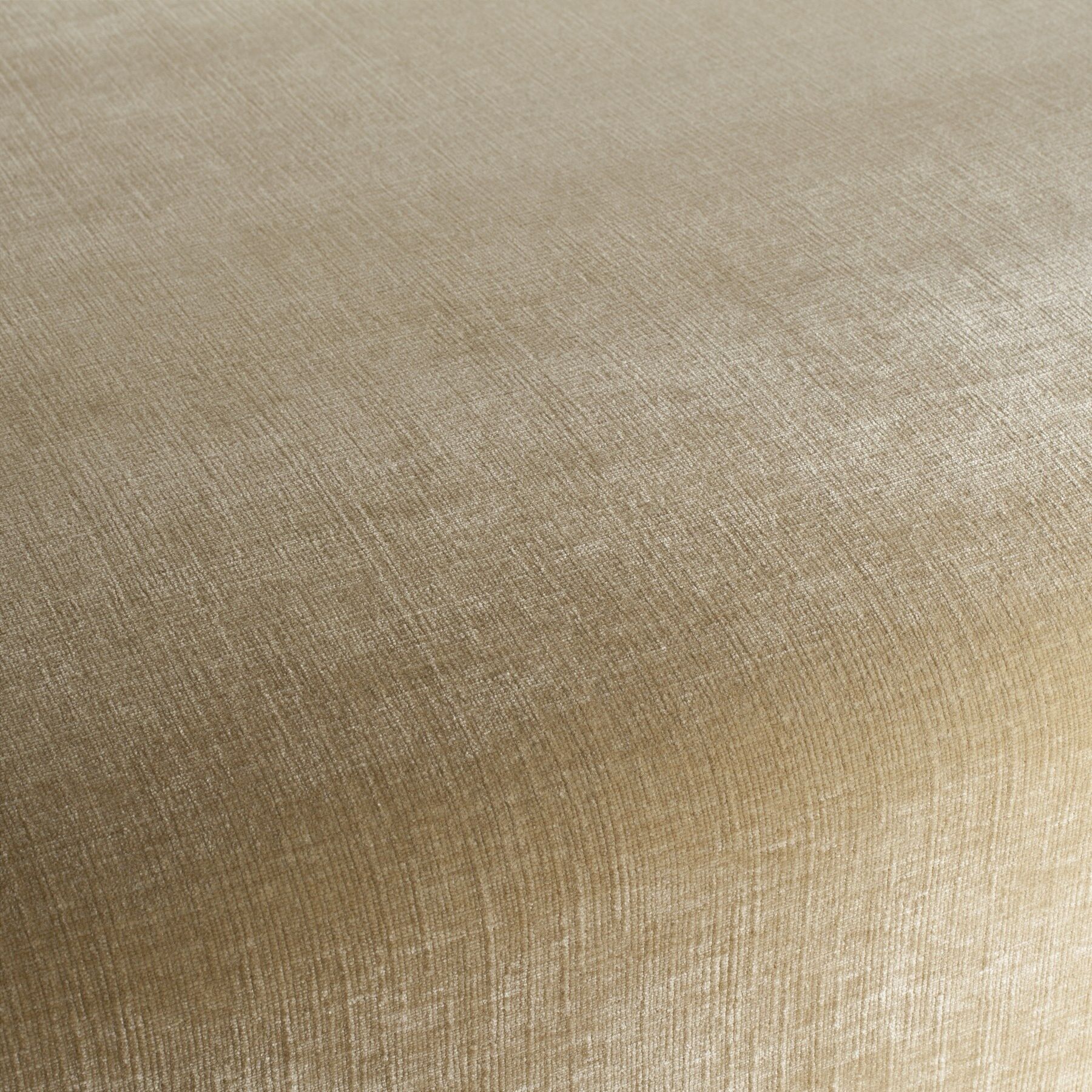 Ja1007 040 Fabulous Jab Anstoetz Fleckschutz Chenille Moebelstoff Polsterstoff Gold