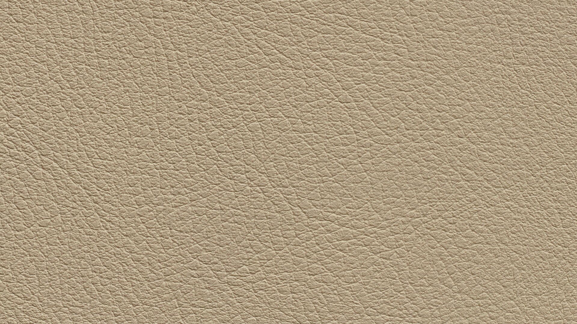 331570 Sk Chance Sonnhaus Kunstleder Meterware Beige