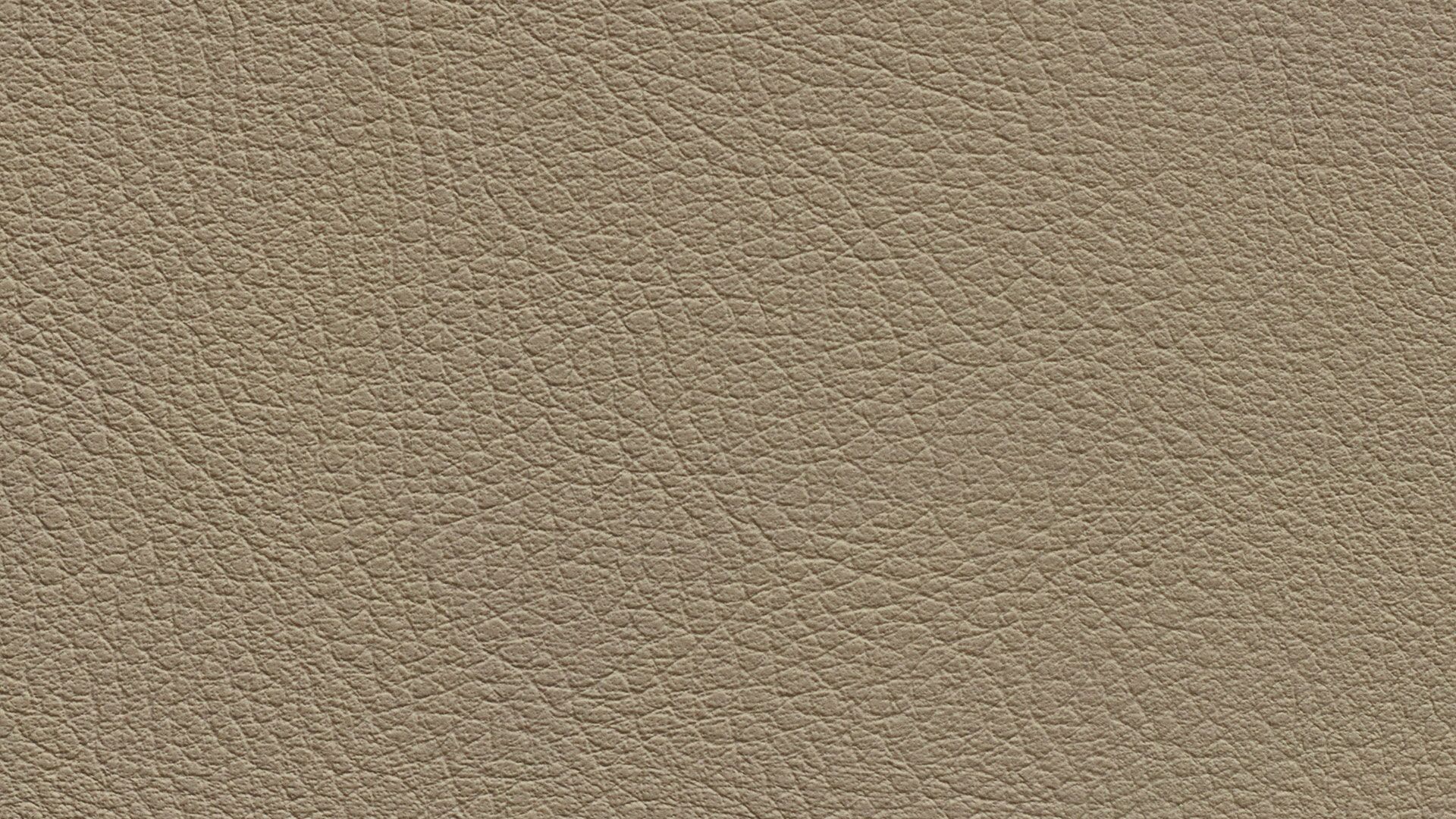 331578 Sk Chance Sonnhaus Kunstleder Meterware Beige Gruen