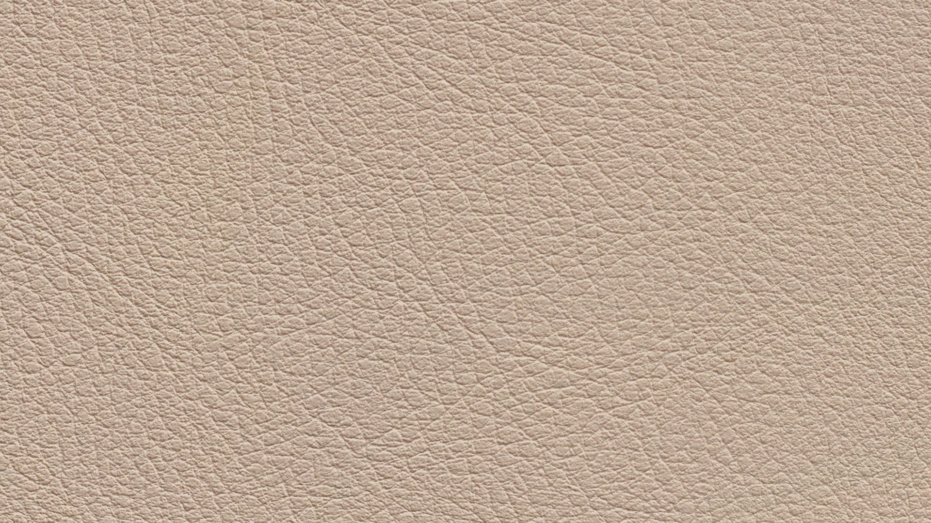 331626 Sk Chance Sonnhaus Kunstleder Meterware Beige