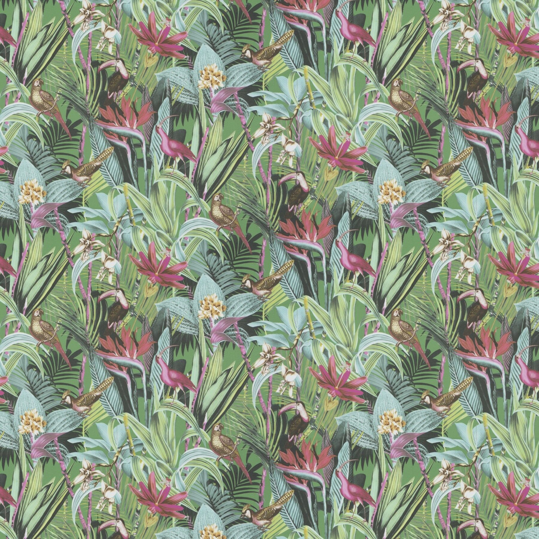 Ja8060 060 Jungle Birds Jab Vorhangstoff Meterware Mit Blumenmuster Gruen 1