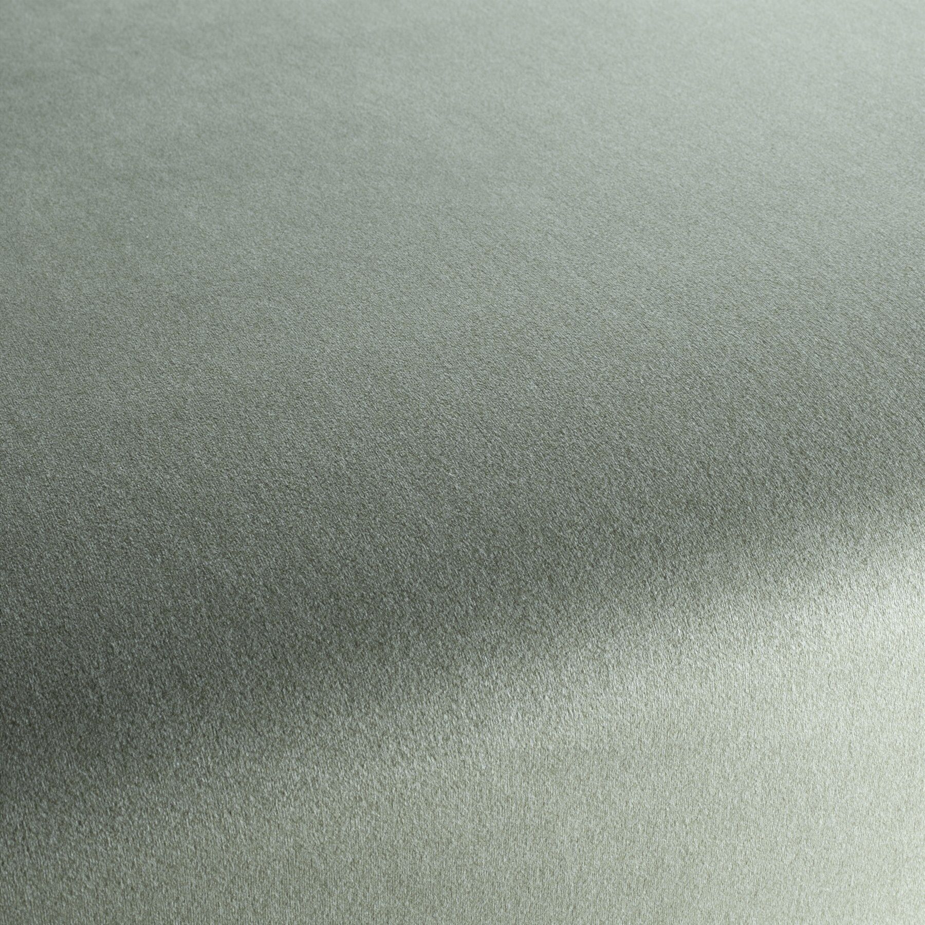Ch3090 032 Shallow Chivasso Polsterstoff Samt Gruen
