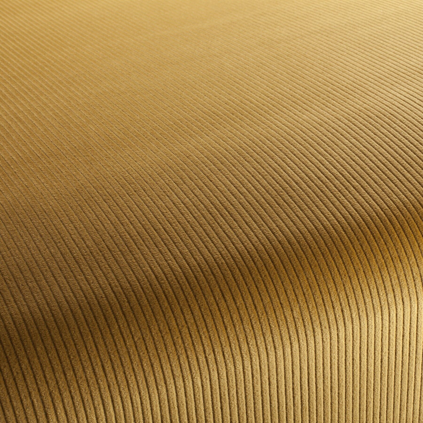1 3126 043 Cord Jab Polsterstoff Gold
