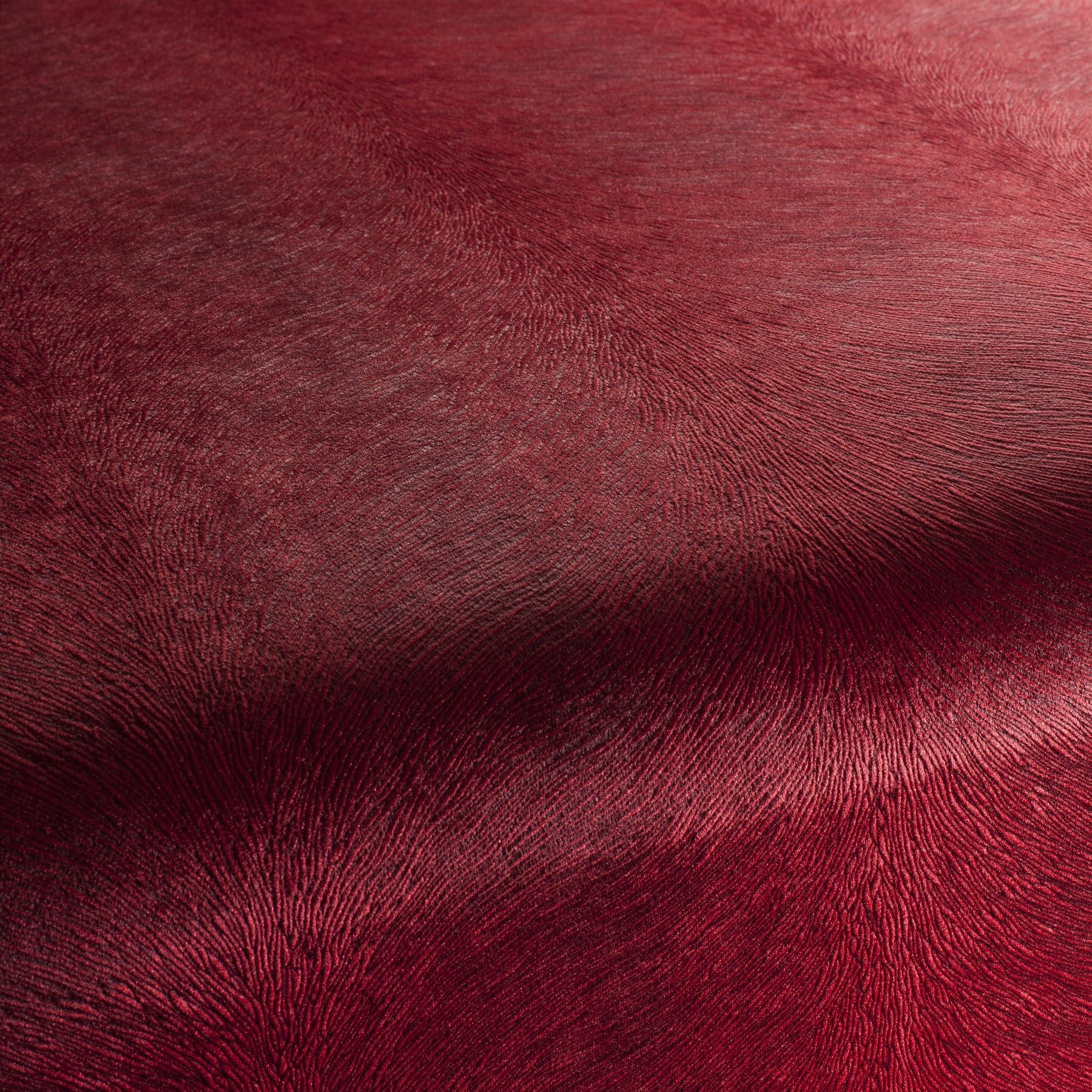 Ca1292 010 Pistoia Velvet Exklusive Italienische Samt Moebelstoffe Stoffe Rot
