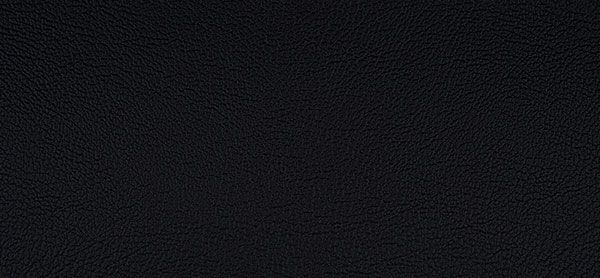 218x1627 Master Plus Kunstleder Meterware Schwarz