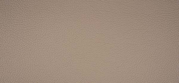218x1634 Master Plus Kunstleder Meterware Beige